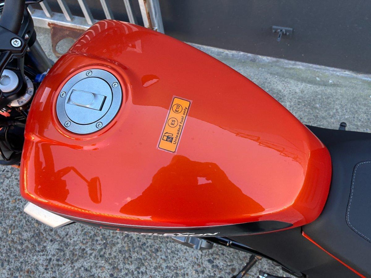 2024 HARLEY-DAVIDSON HD350-10 H-DX X350 CRUISER