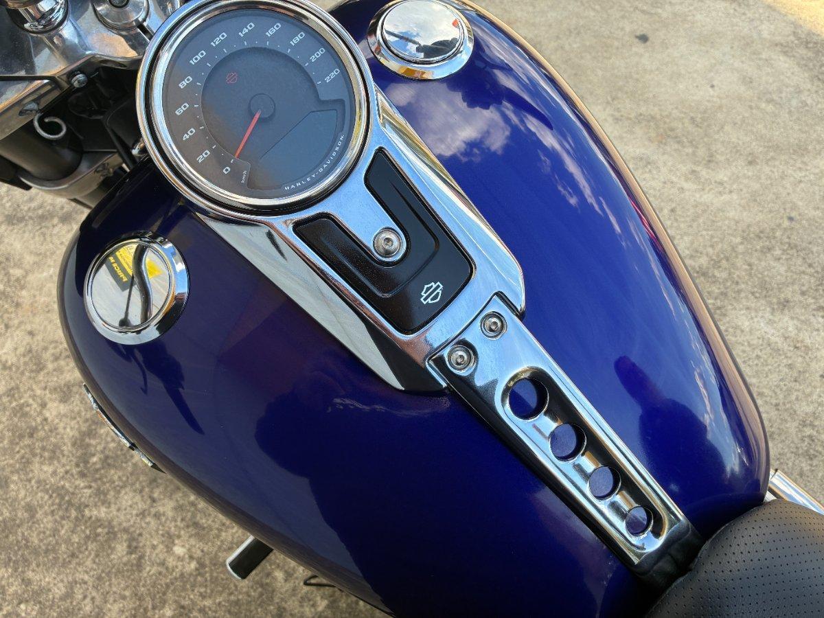 2020 HARLEY-DAVIDSON FLSB SPORT GLIDE CRUISER
