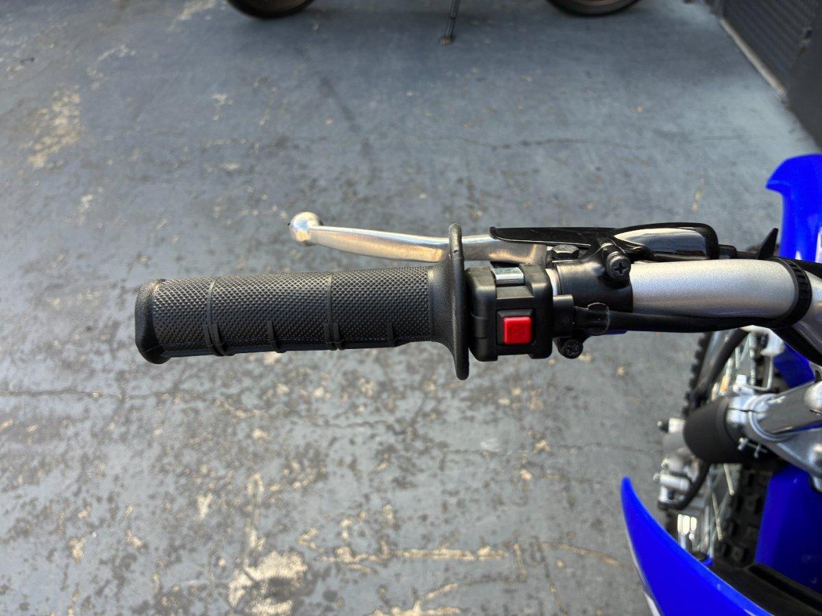 2026 YAMAHA TTR125LWE MINIBIKE