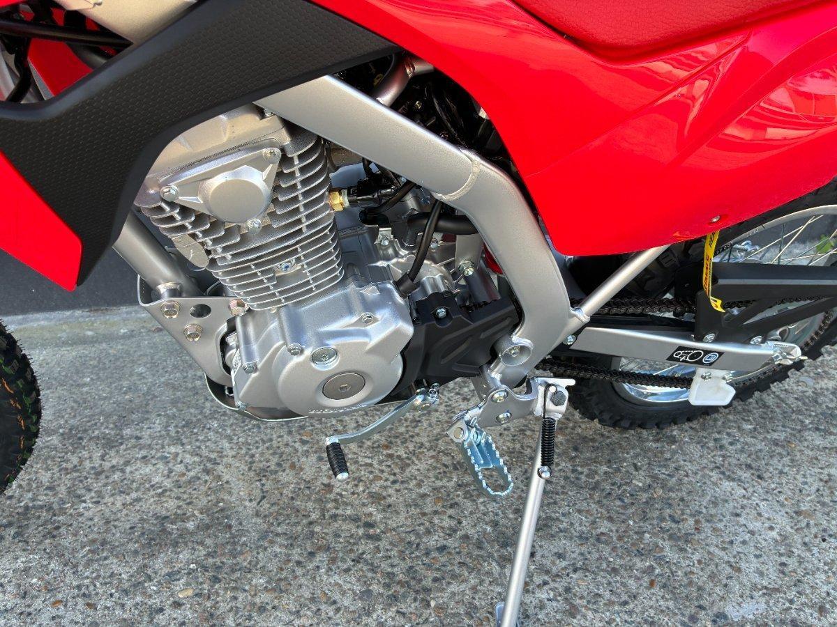 2025 HONDA CRF125FB MINIBIKE