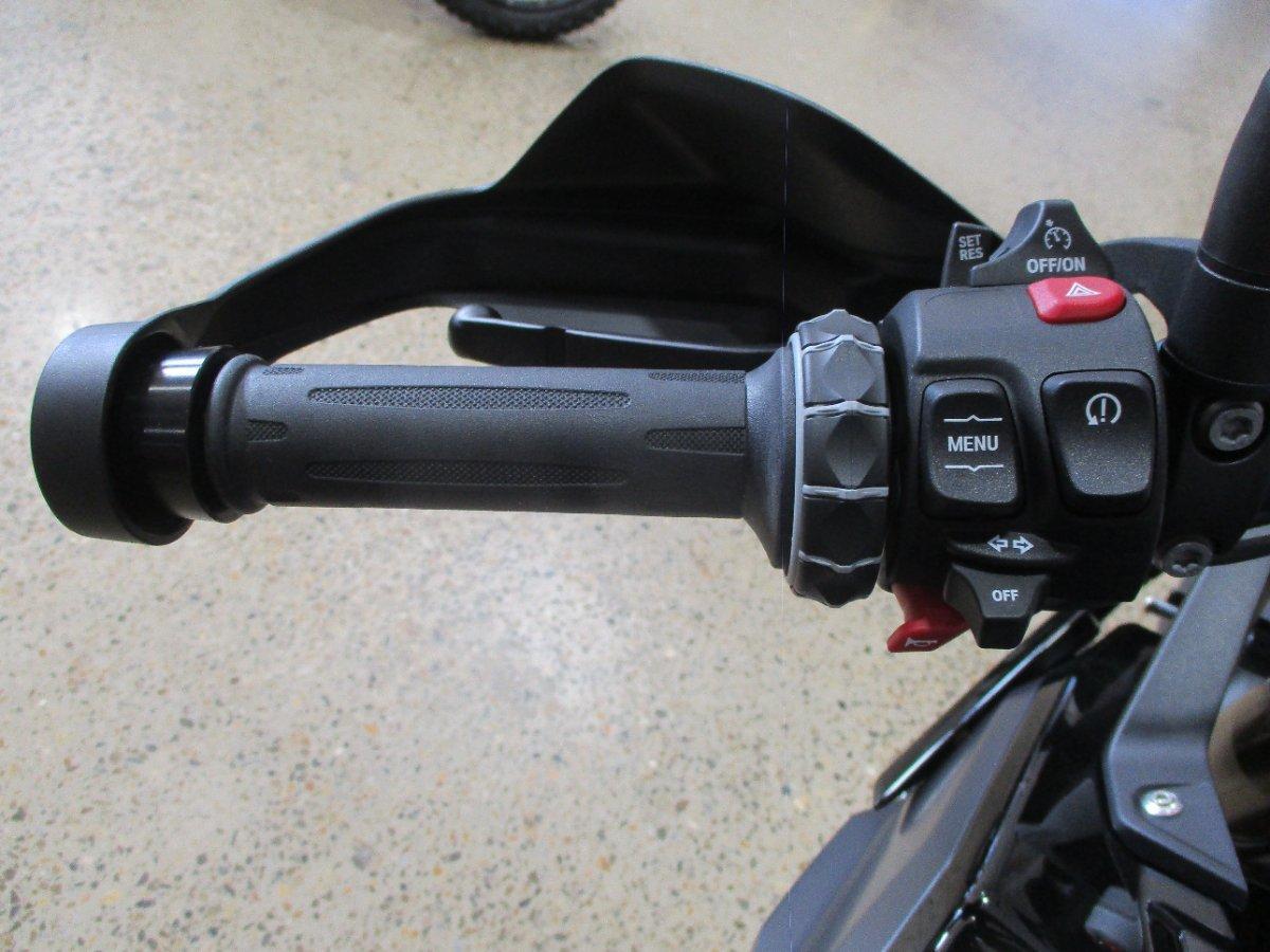 2026 BMW F 900 GS ENDURO DUAL SPORTS