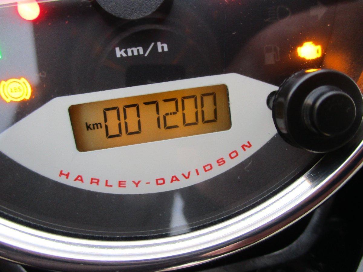 2020 HARLEY-DAVIDSON XG500 STREET 500 CRUISER