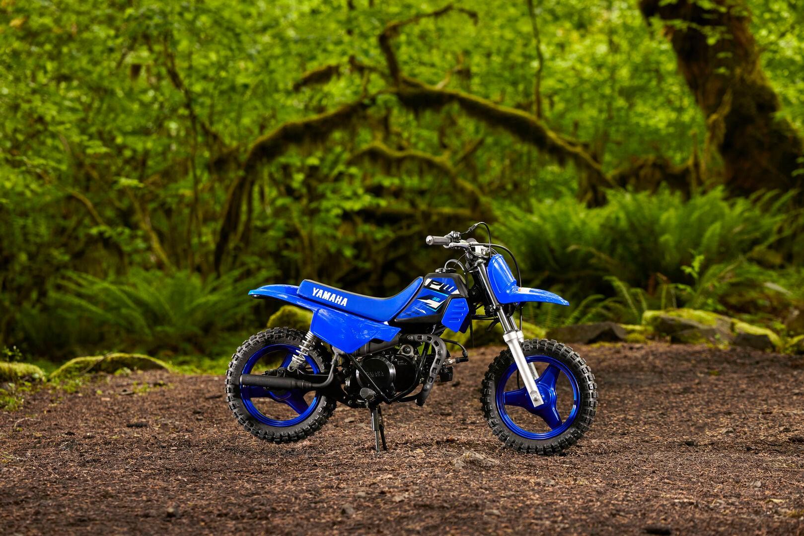 2026 YAMAHA PW50 (PEE-WEE) MINIBIKE