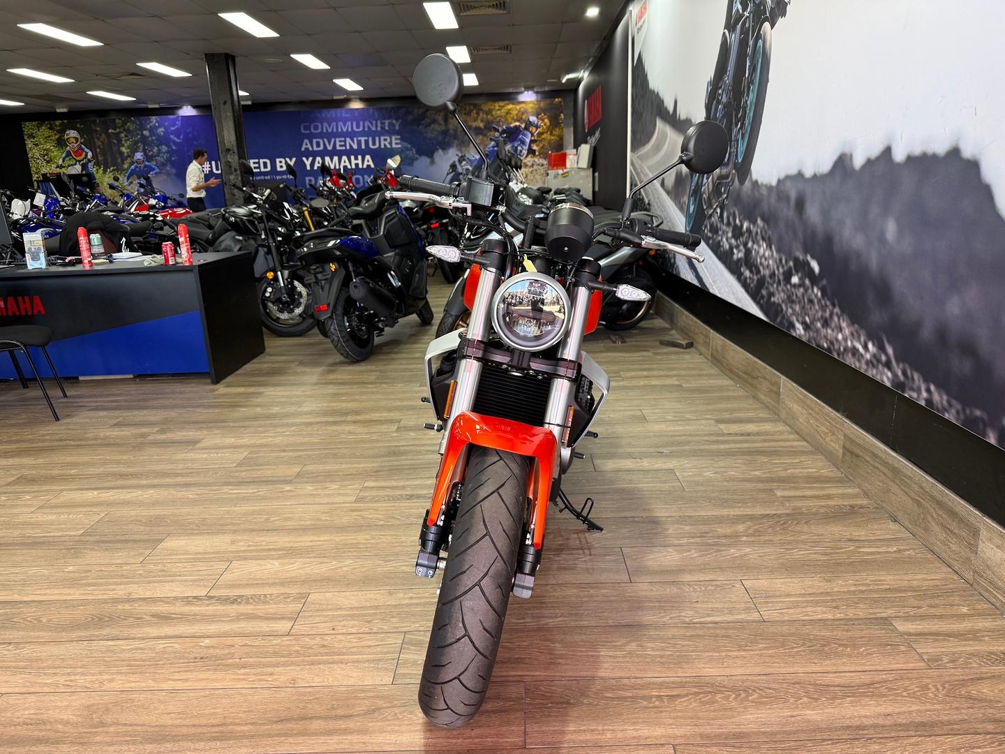 2024 HARLEY-DAVIDSON HD350-10 H-DX X350 CRUISER