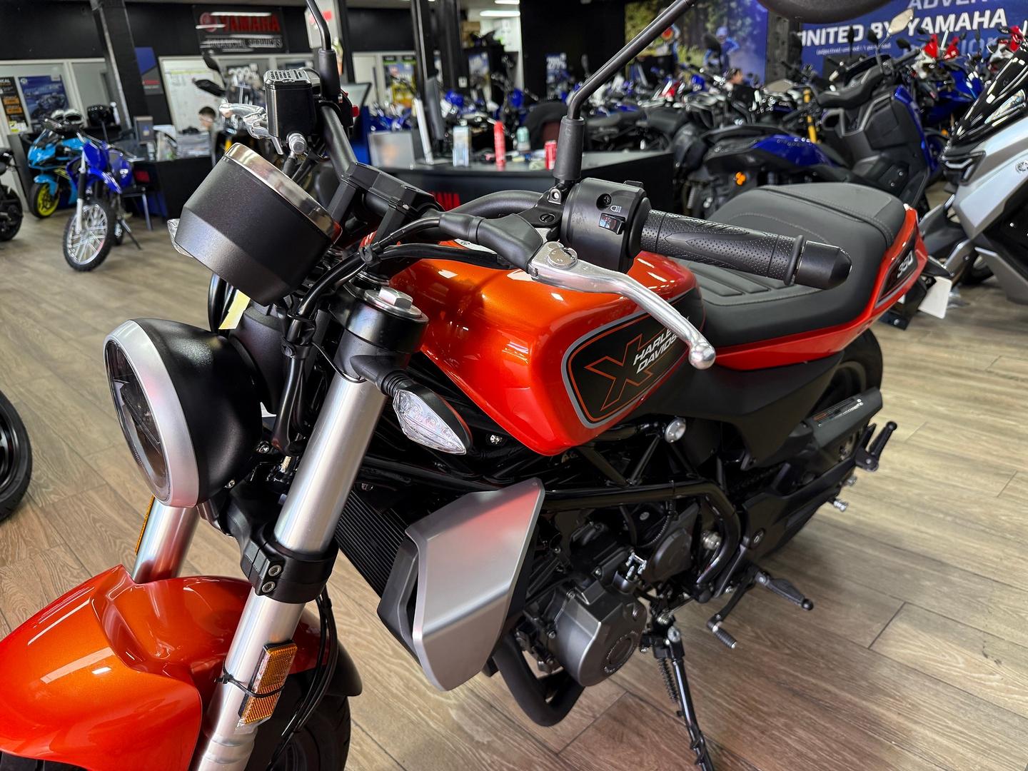2024 HARLEY-DAVIDSON HD350-10 H-DX X350 CRUISER