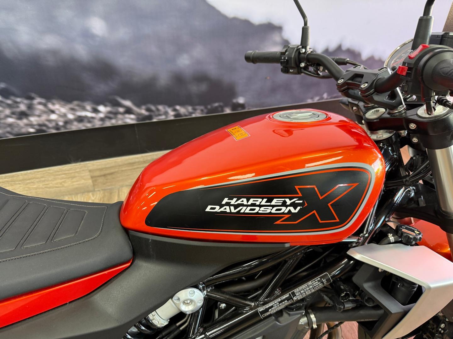 2024 HARLEY-DAVIDSON HD350-10 H-DX X350 CRUISER