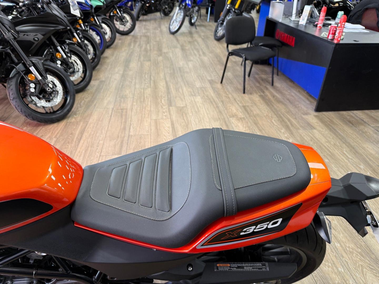 2024 HARLEY-DAVIDSON HD350-10 H-DX X350 CRUISER