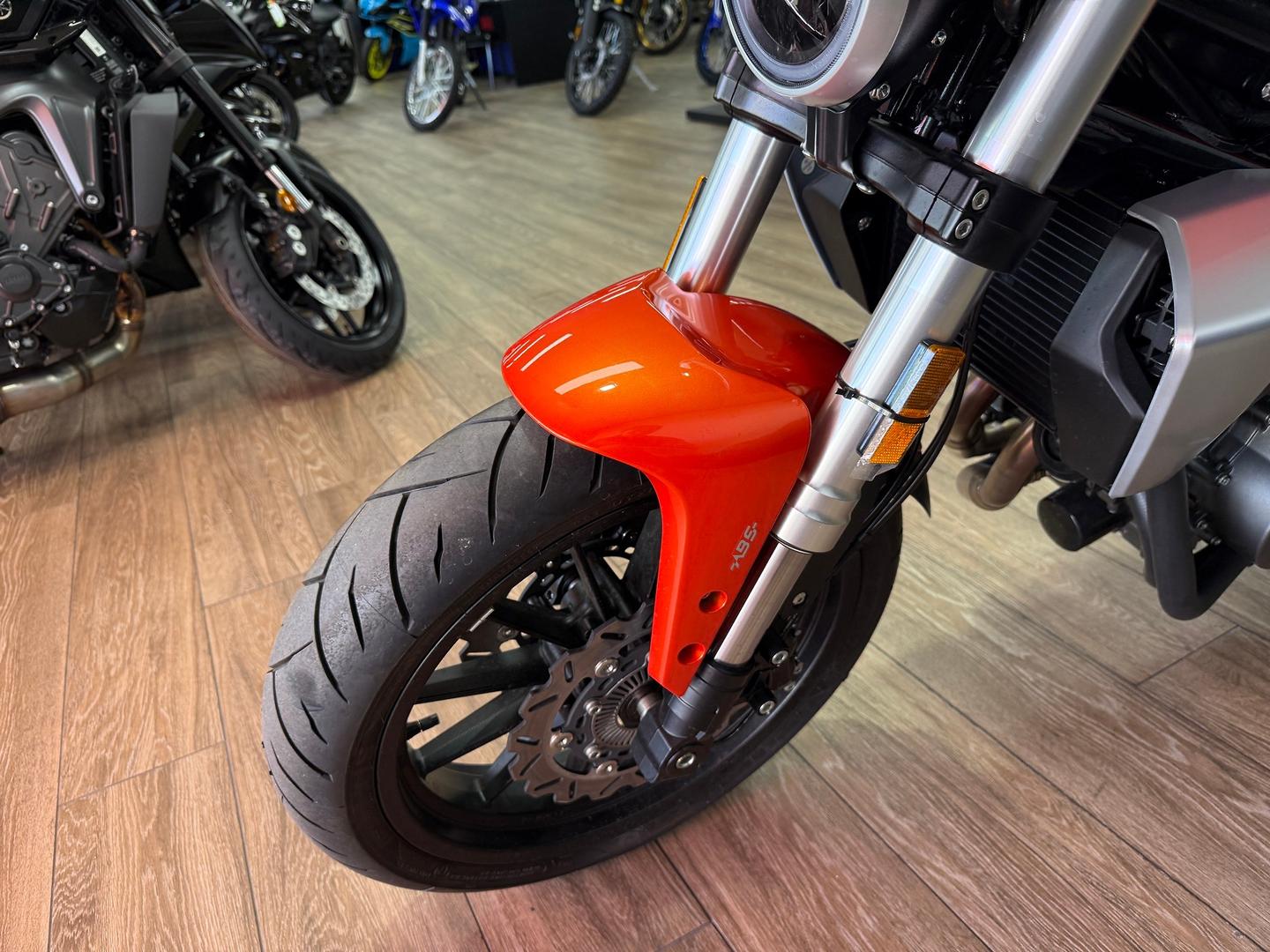 2024 HARLEY-DAVIDSON HD350-10 H-DX X350 CRUISER