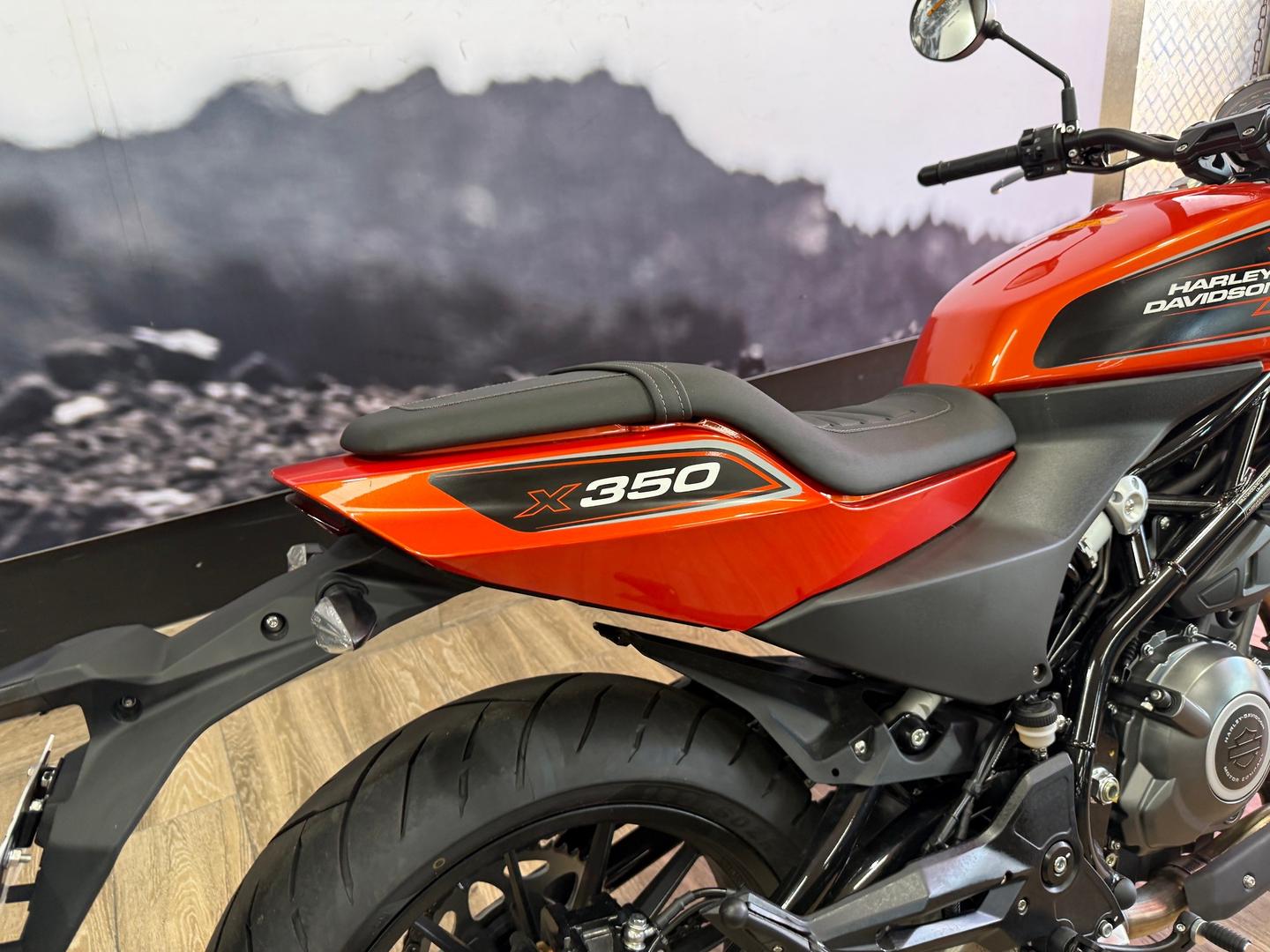 2024 HARLEY-DAVIDSON HD350-10 H-DX X350 CRUISER