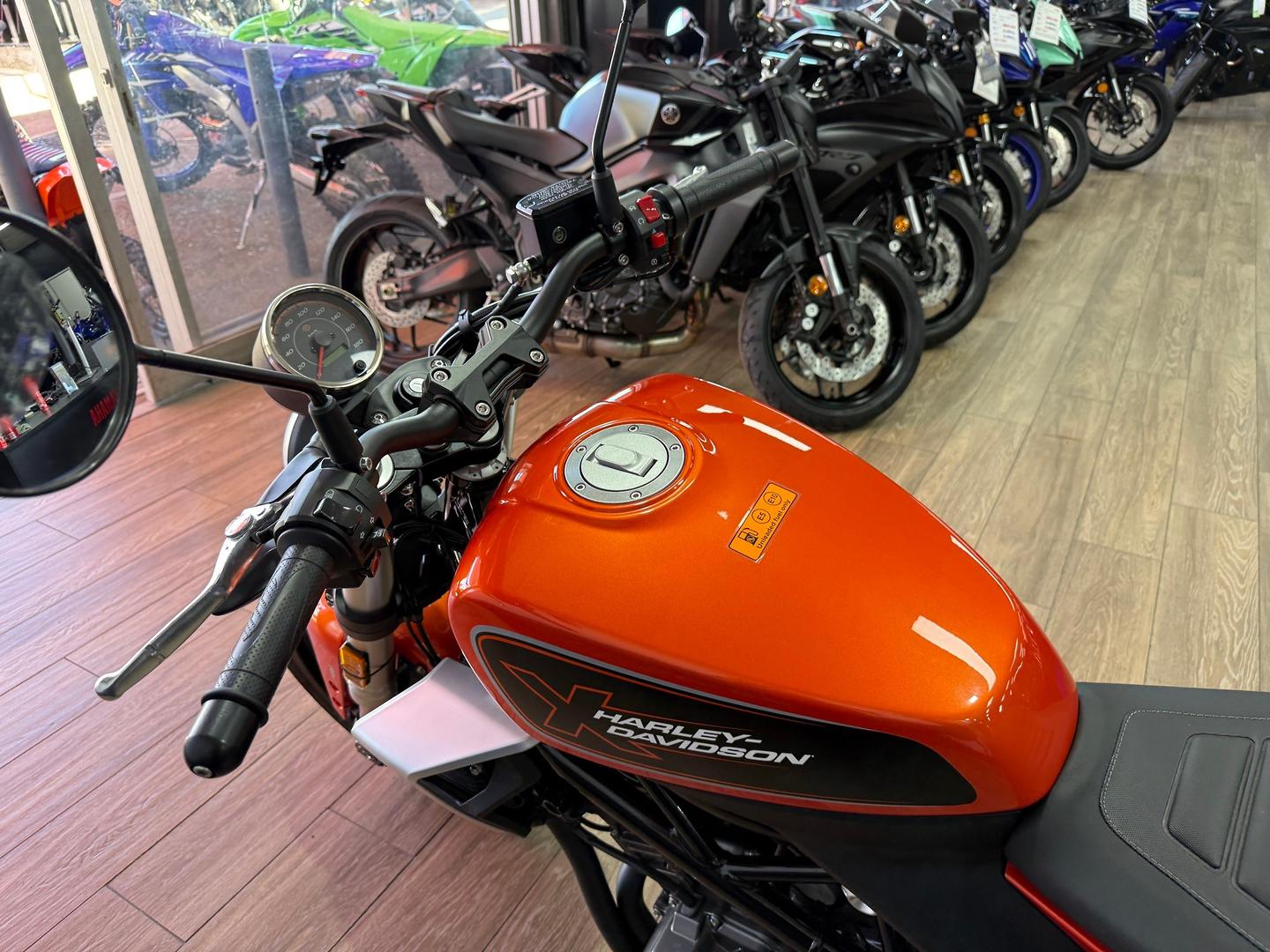 2024 HARLEY-DAVIDSON HD350-10 H-DX X350 CRUISER