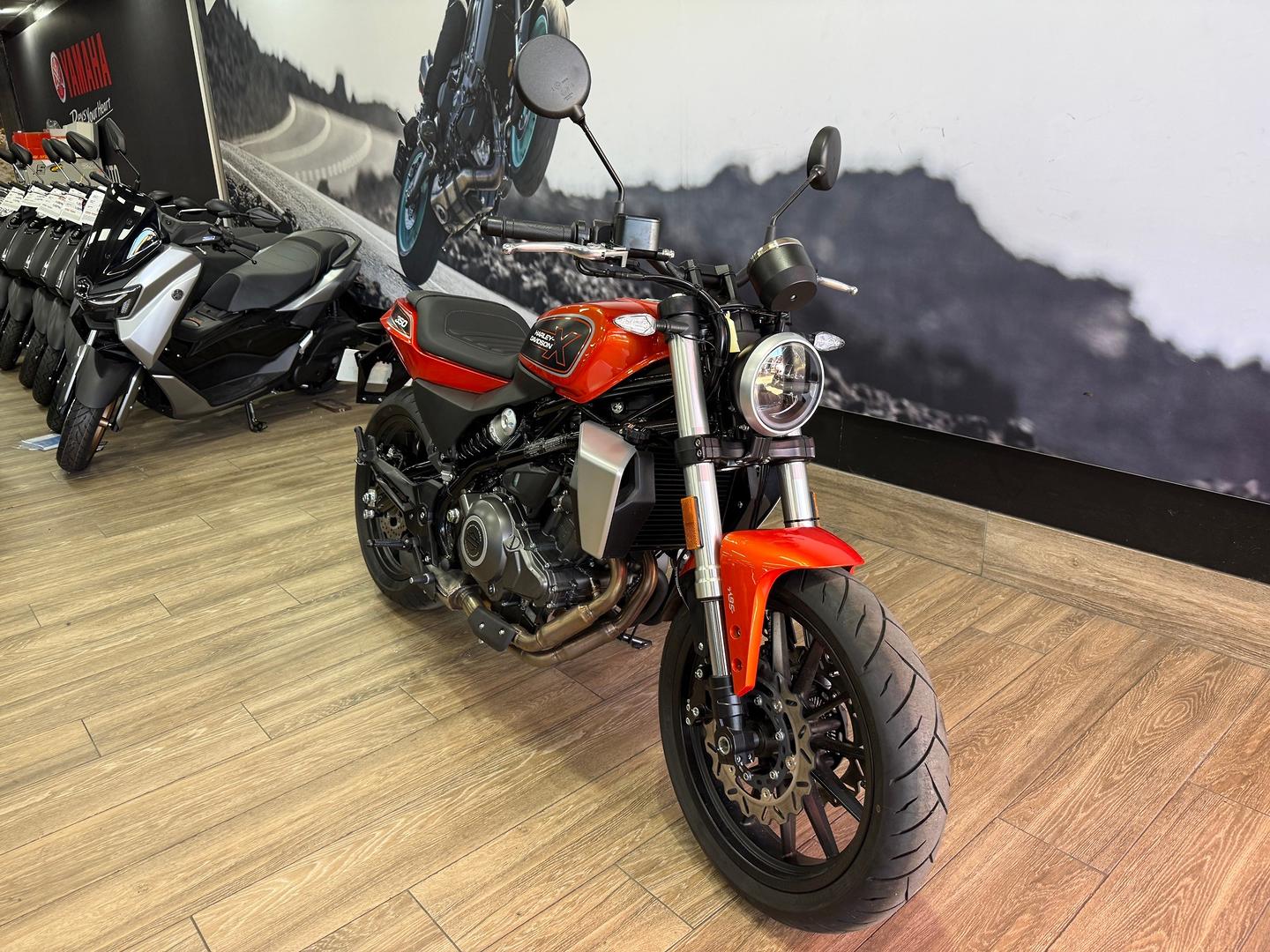 2024 HARLEY-DAVIDSON HD350-10 H-DX X350 CRUISER