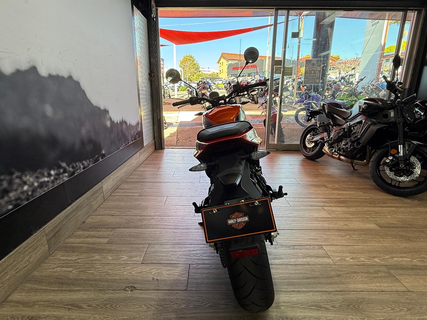 2024 HARLEY-DAVIDSON HD350-10 H-DX X350 CRUISER