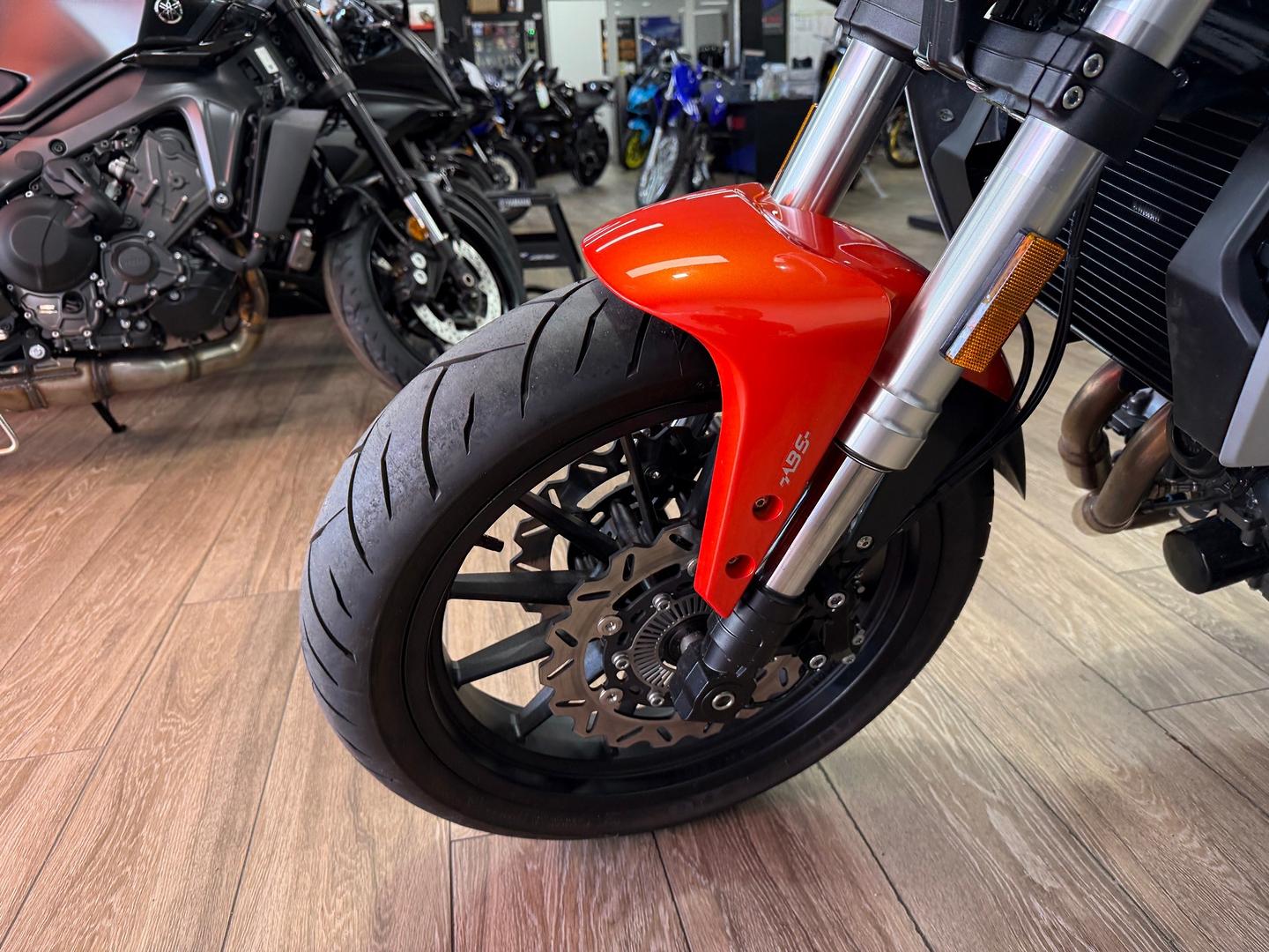 2024 HARLEY-DAVIDSON HD350-10 H-DX X350 CRUISER
