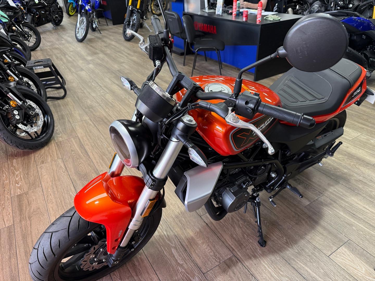2024 HARLEY-DAVIDSON HD350-10 H-DX X350 CRUISER