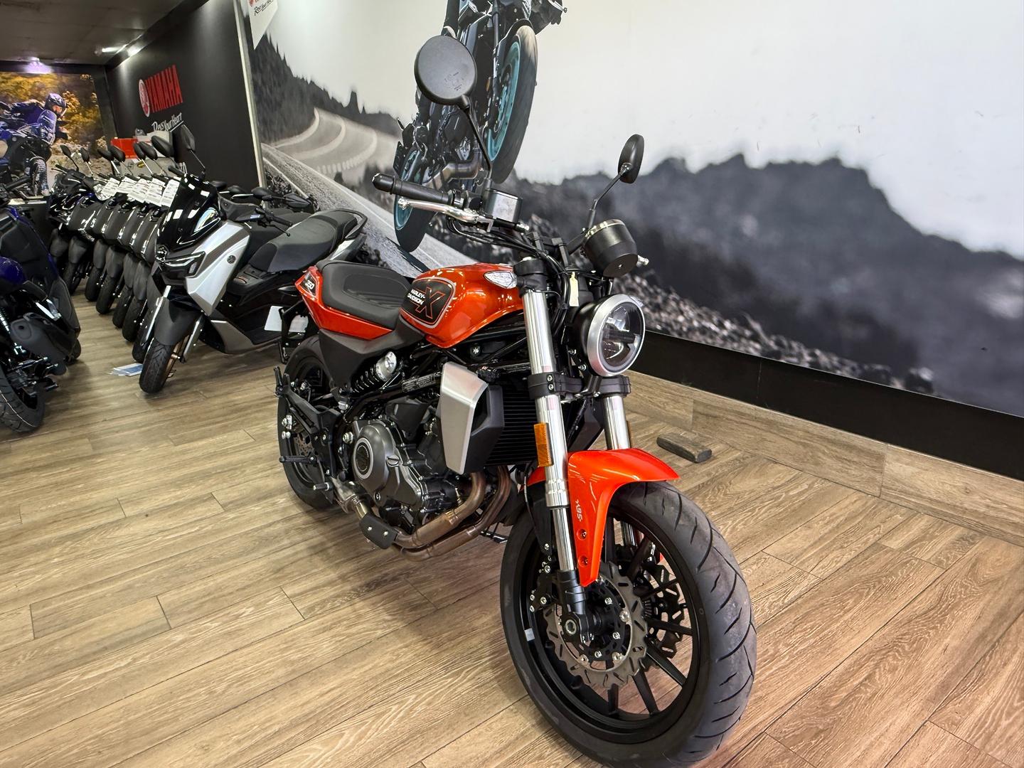 2024 HARLEY-DAVIDSON HD350-10 H-DX X350 CRUISER