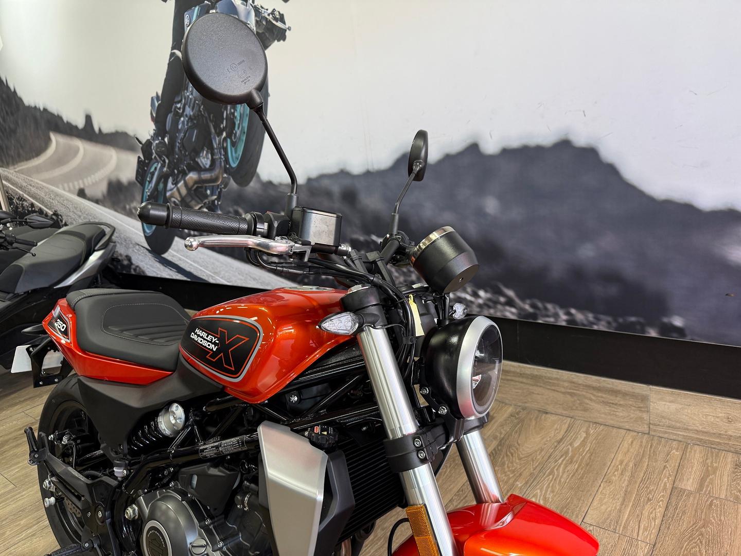 2024 HARLEY-DAVIDSON HD350-10 H-DX X350 CRUISER