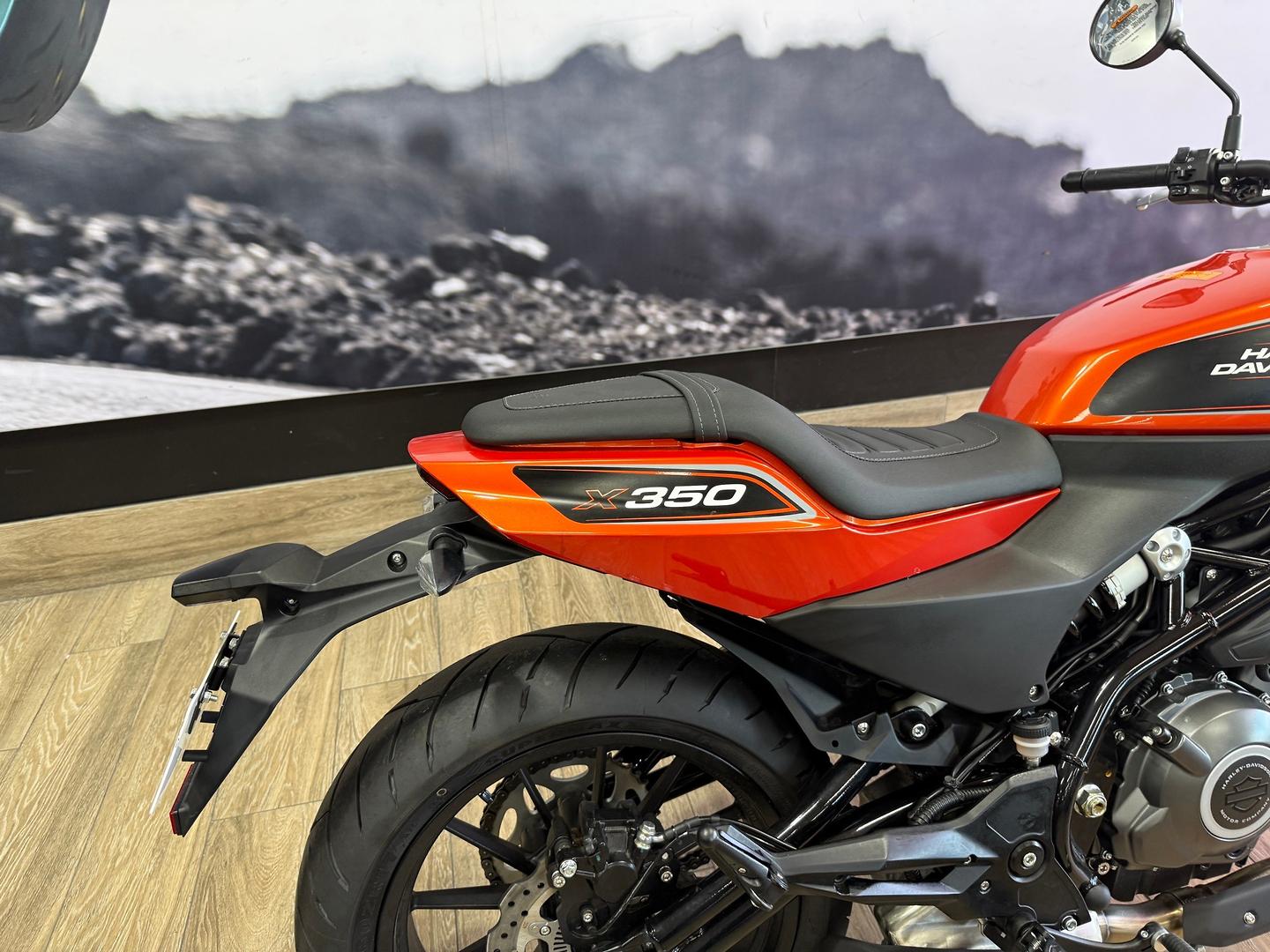 2024 HARLEY-DAVIDSON HD350-10 H-DX X350 CRUISER