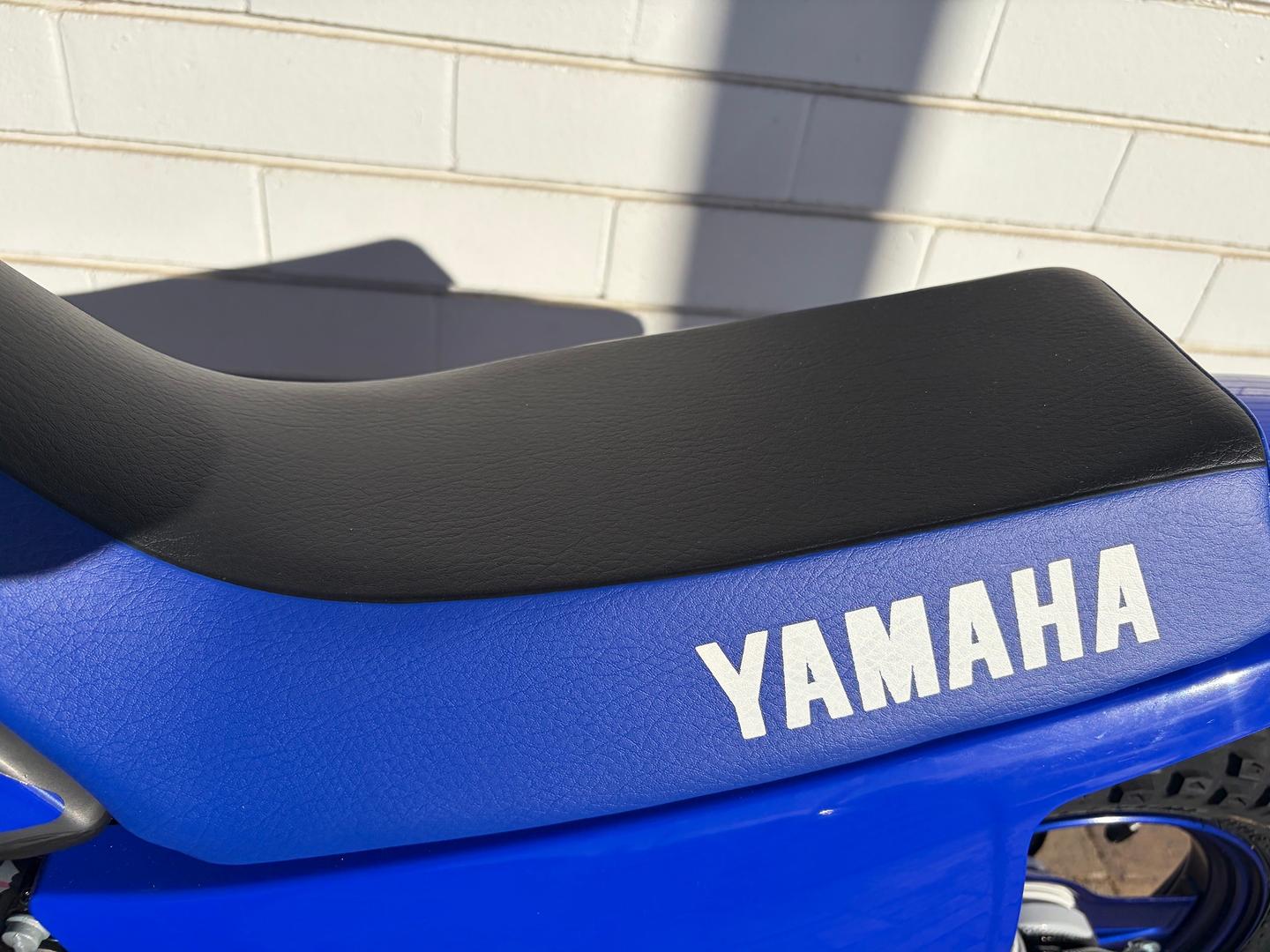 2026 YAMAHA PW50 (PEE-WEE) MINIBIKE