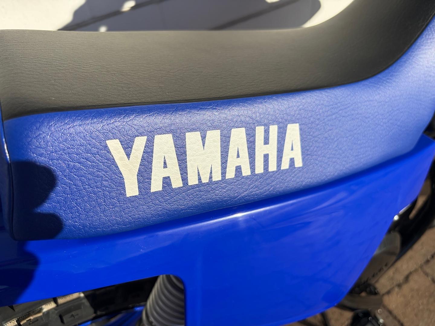 2026 YAMAHA PW50 (PEE-WEE) MINIBIKE