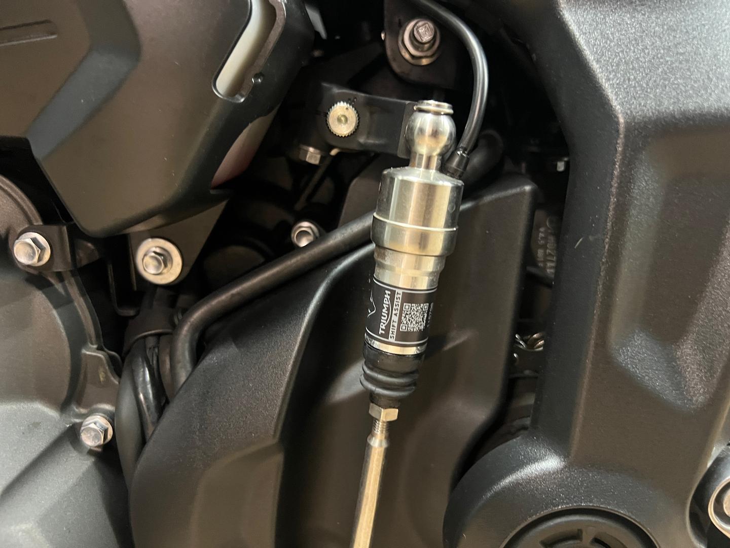 2025 TRIUMPH TRIDENT 660 ROAD