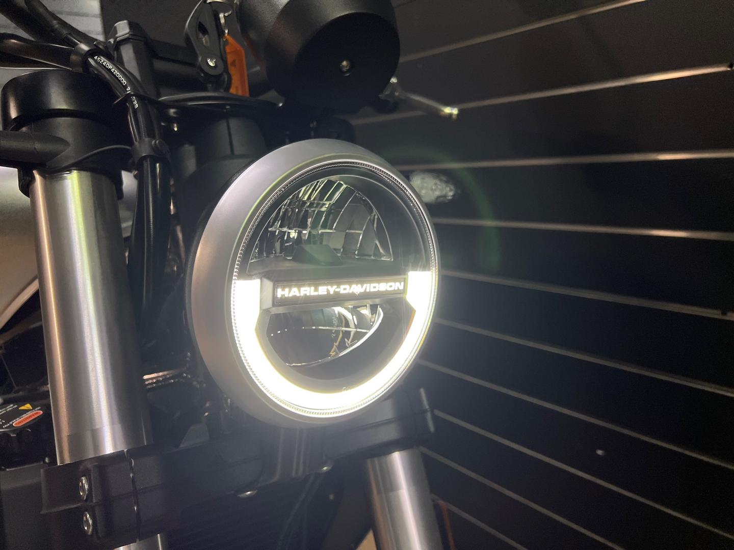 2024 HARLEY-DAVIDSON HD350-10 H-DX X350 CRUISER