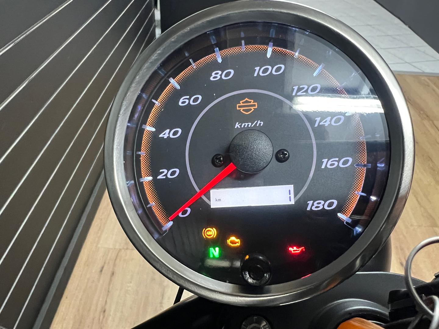 2024 HARLEY-DAVIDSON HD350-10 H-DX X350 CRUISER