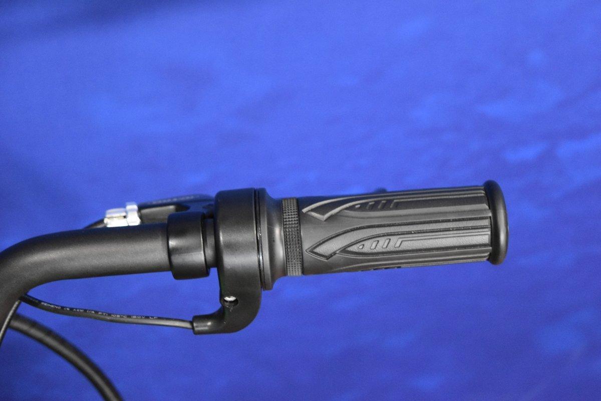 2025 KAWASAKI ELEKTRODE 20 BIKE
