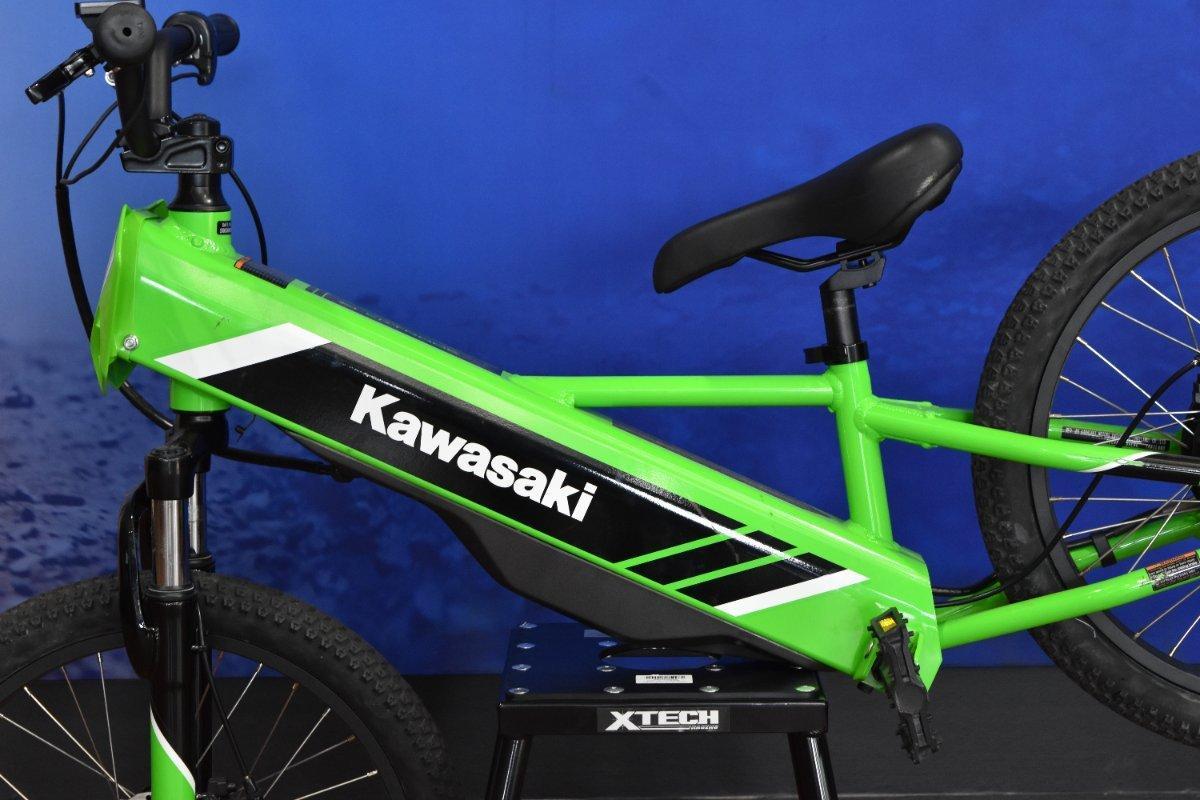 2025 KAWASAKI ELEKTRODE 20 BIKE