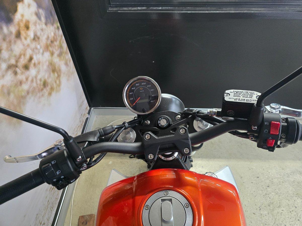 2024 HARLEY-DAVIDSON HD350-10 H-DX X350 CRUISER