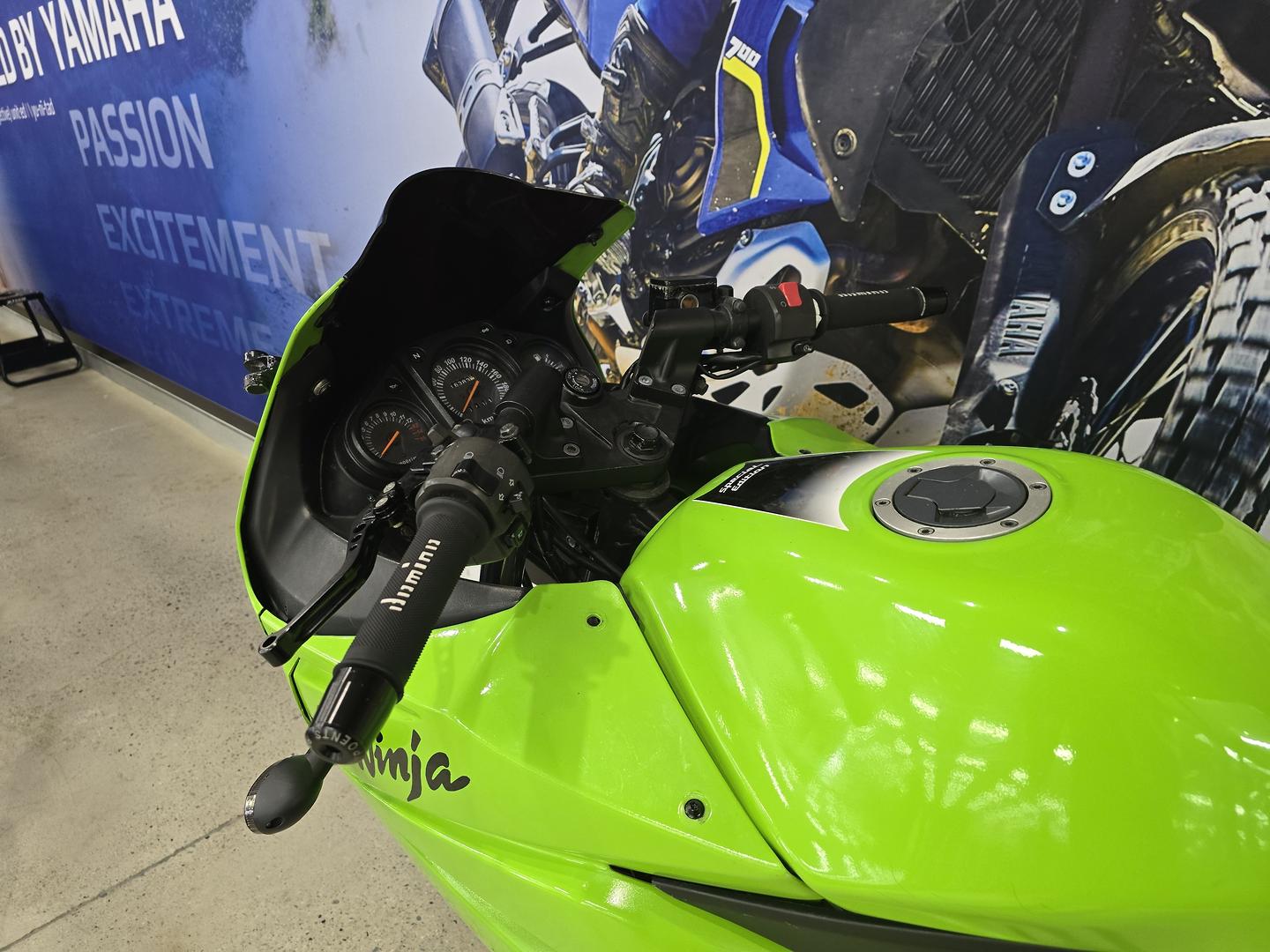 2010 KAWASAKI NINJA 250R SE (EX250J) SPORTS