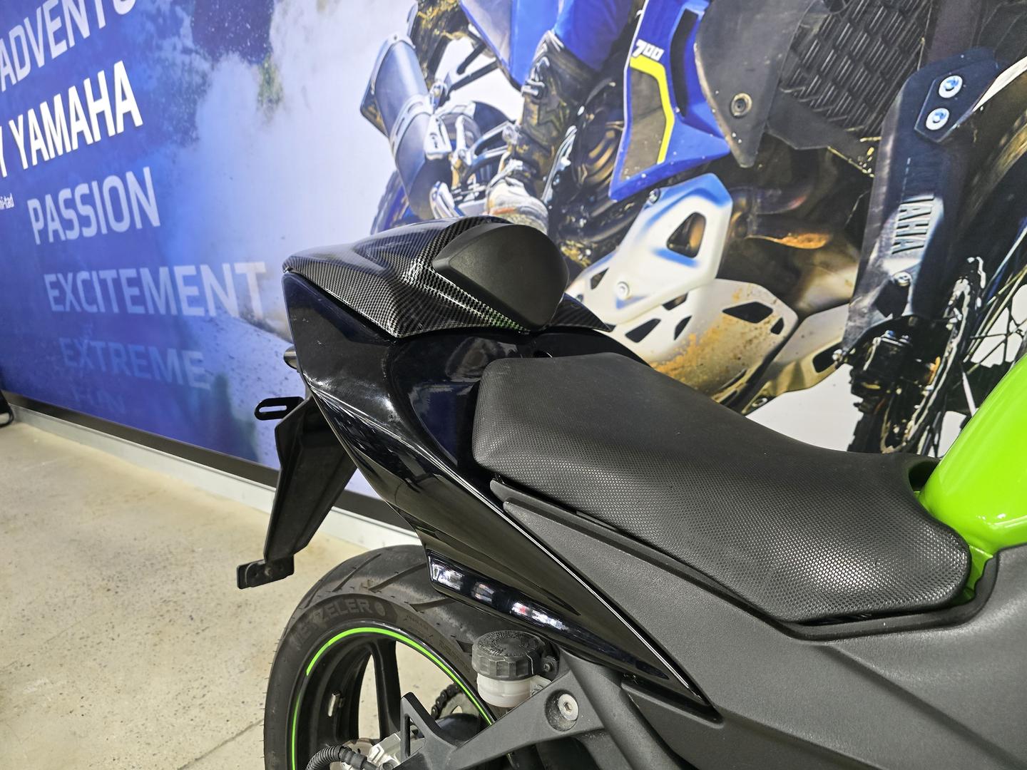 2010 KAWASAKI NINJA 250R SE (EX250J) SPORTS