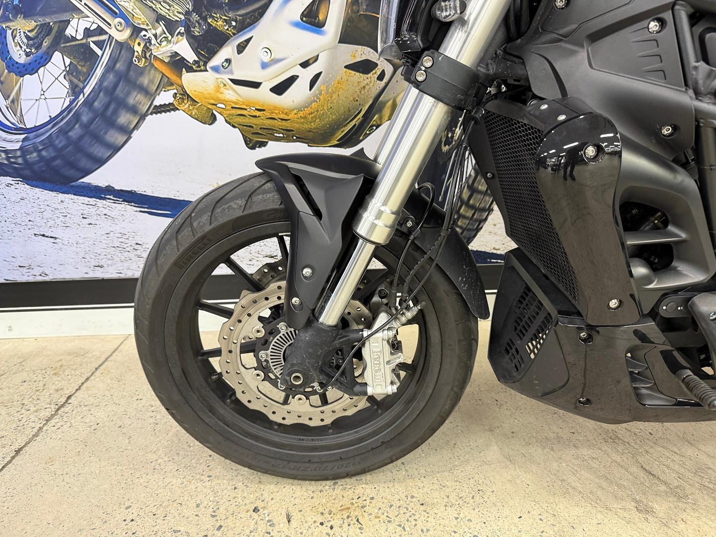 2023 BENELLI 502C ROAD