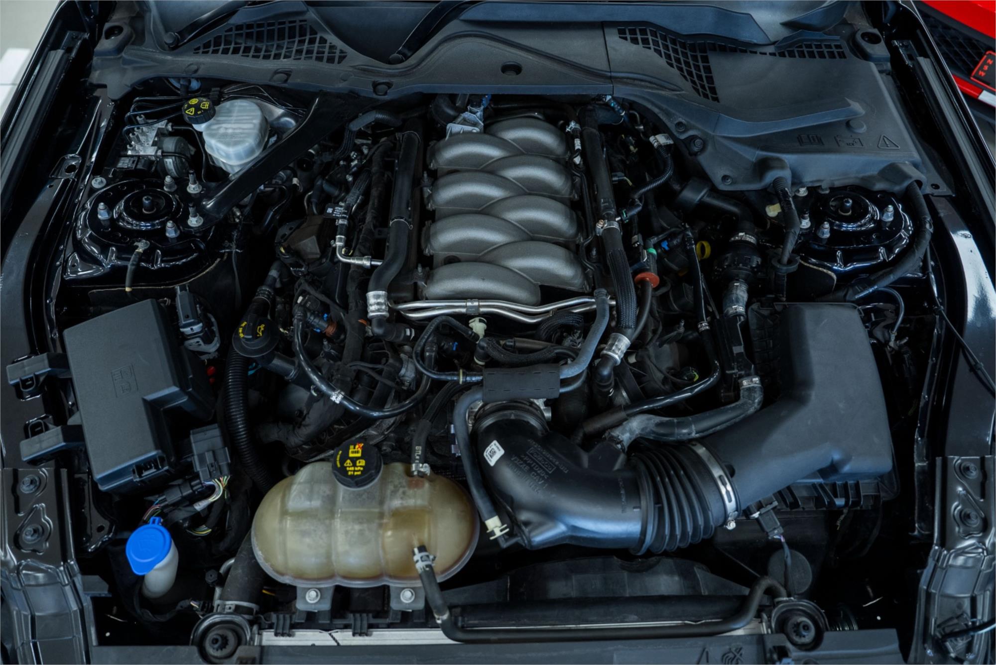 2019 FORD MUSTANG FN FASTBACK GT 5.0 V8 6 SP MANUAL SEDAN