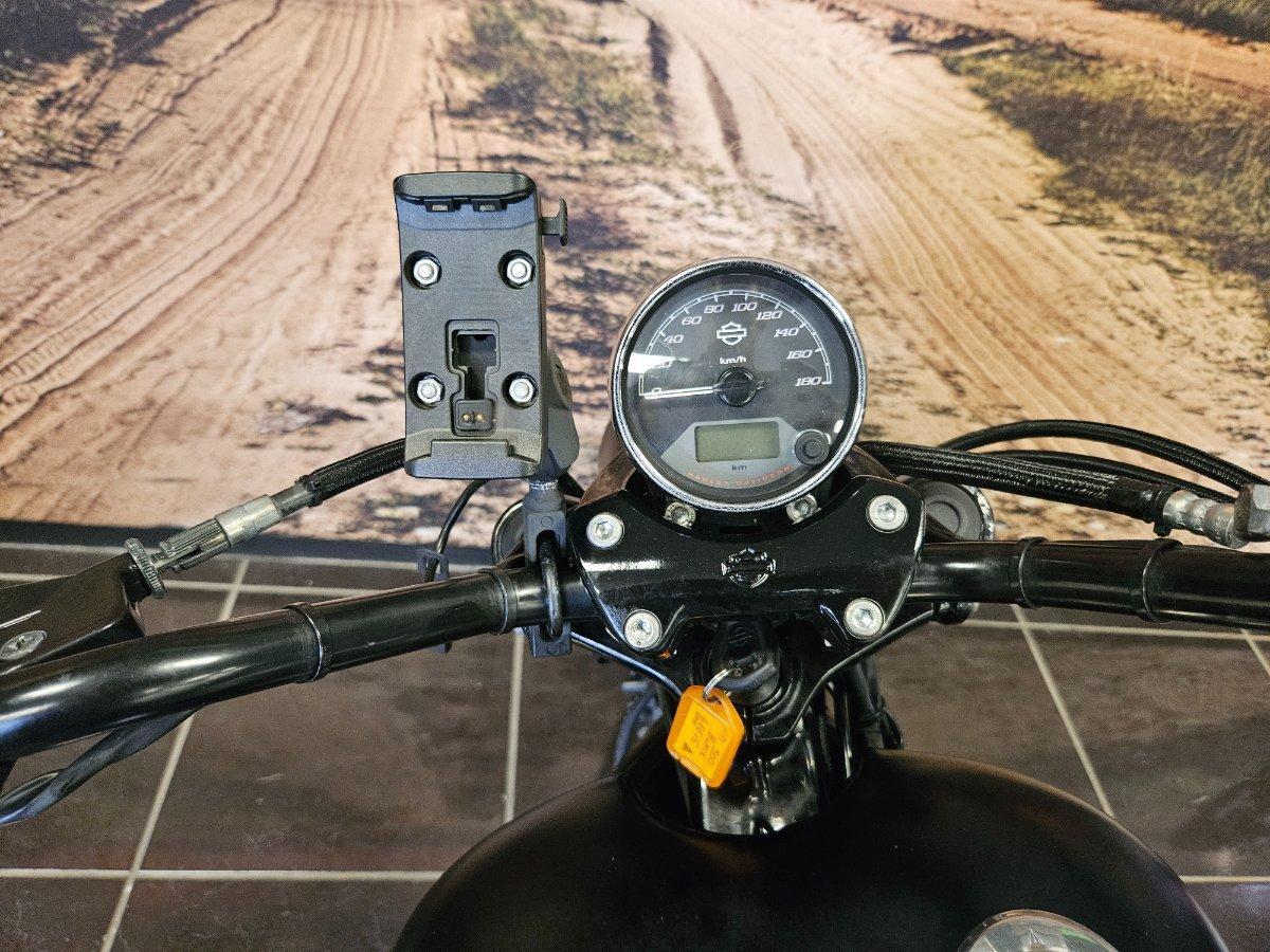 2015 HARLEY-DAVIDSON STREET 500 (LAMS) CRUISER