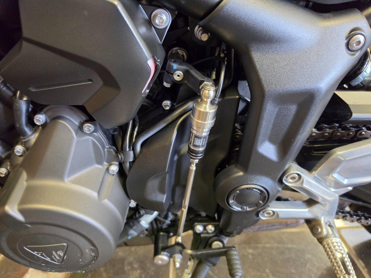 2022 TRIUMPH TRIDENT 660 ROAD