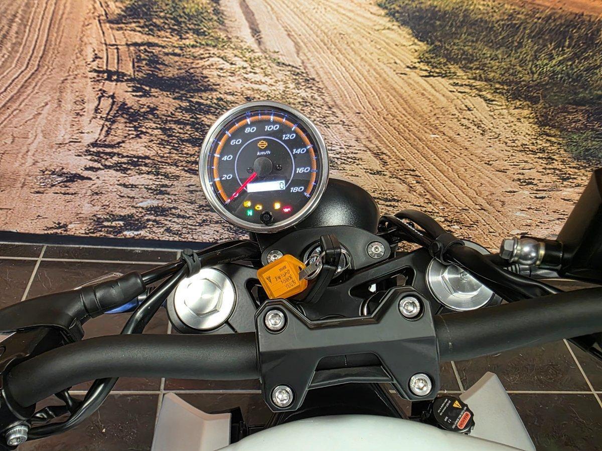 2024 HARLEY-DAVIDSON HD350-10 H-DX X350 CRUISER