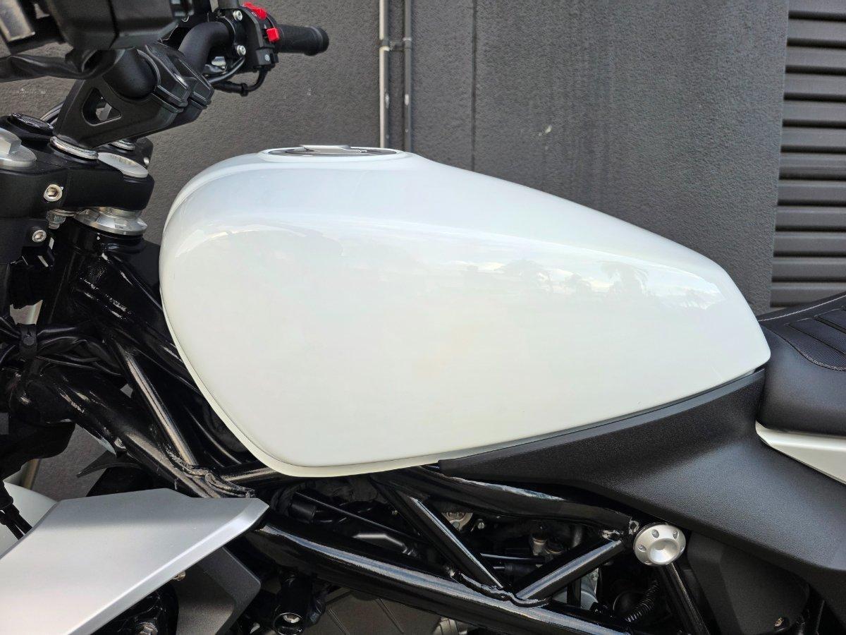 2023 HARLEY-DAVIDSON HD350-10 H-DX X350 CRUISER