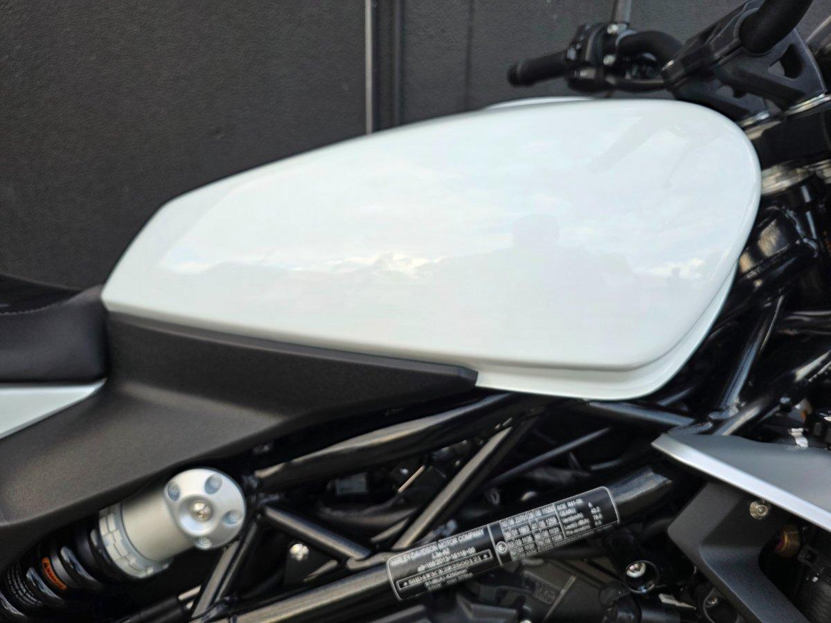 2023 HARLEY-DAVIDSON HD350-10 H-DX X350 CRUISER