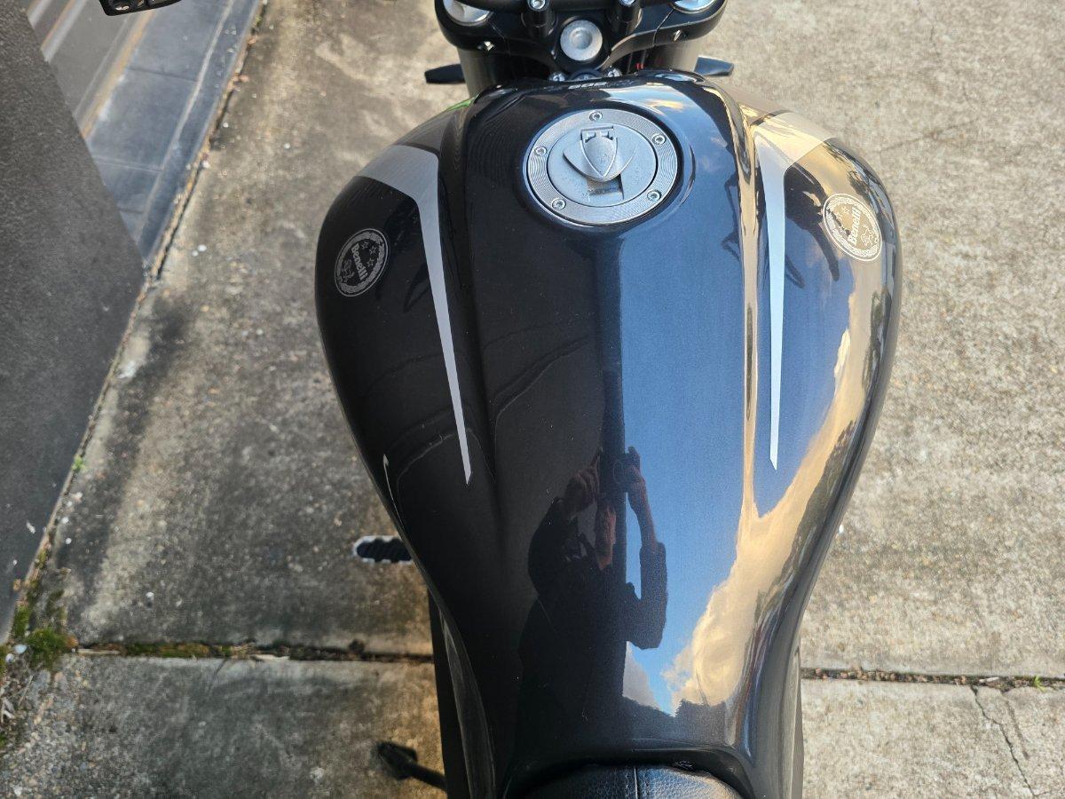 2021 BENELLI 502C ROAD