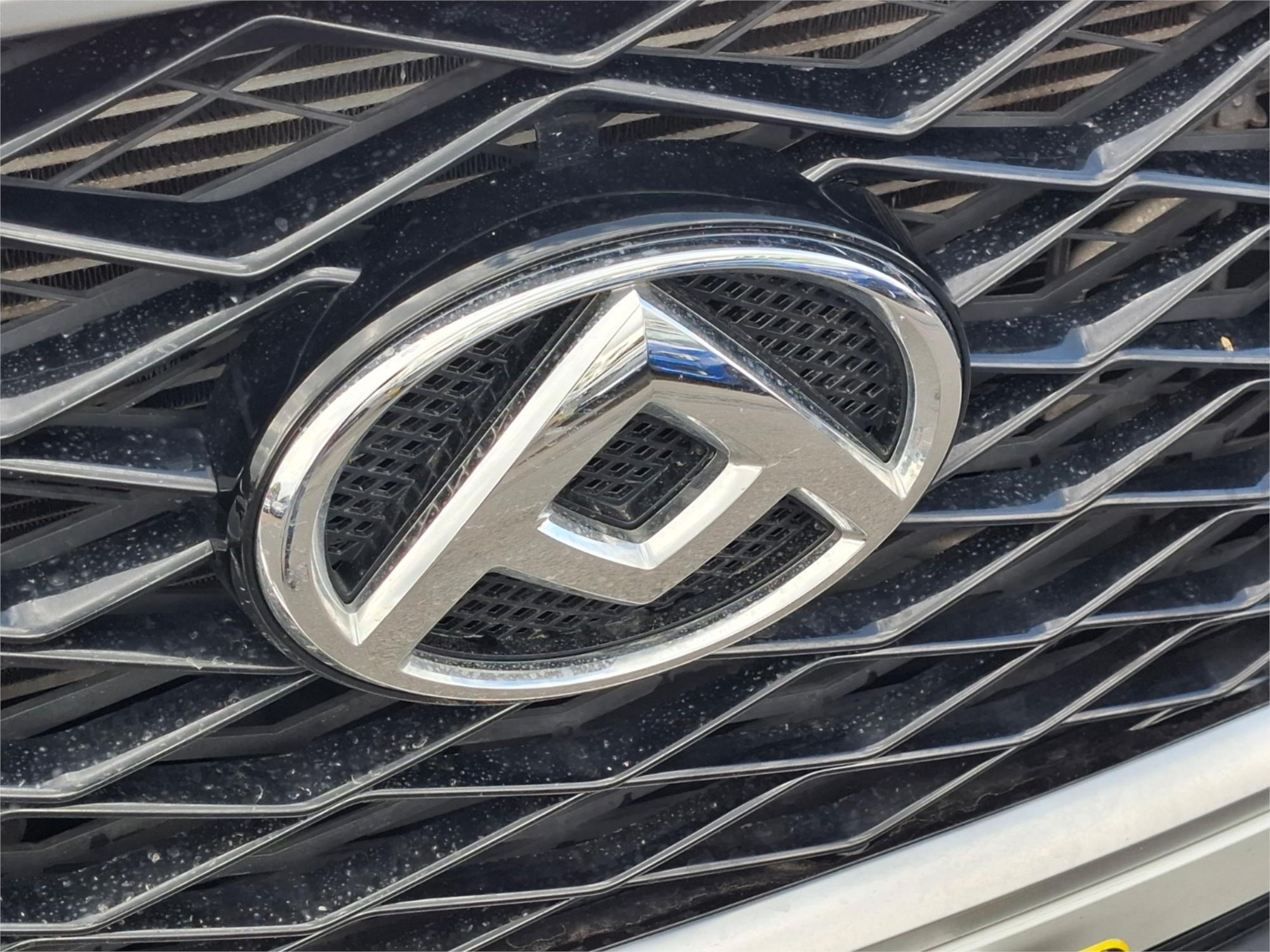 2021 LDV D90 SV9A EXECUTIVE (4WD) 6 SP AUTOMATIC 4D WAGON