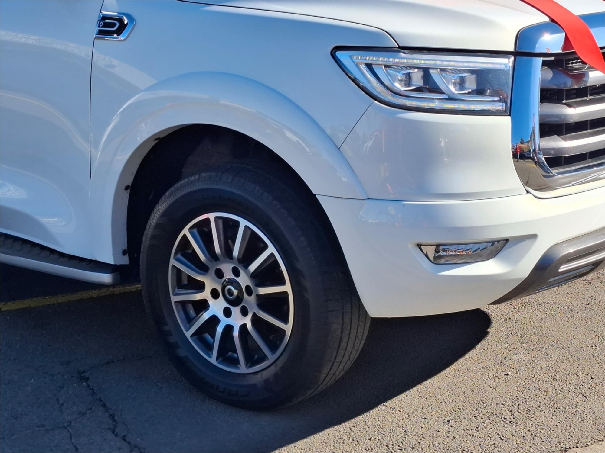 2022 GWM UTE CANNON (4x2) 8 SP AUTOMATIC DUAL CAB UTILITY