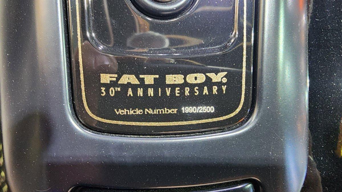 2020 HARLEY-DAVIDSON FLFBSANV FAT BOY 114 30TH ANNI CRUISER