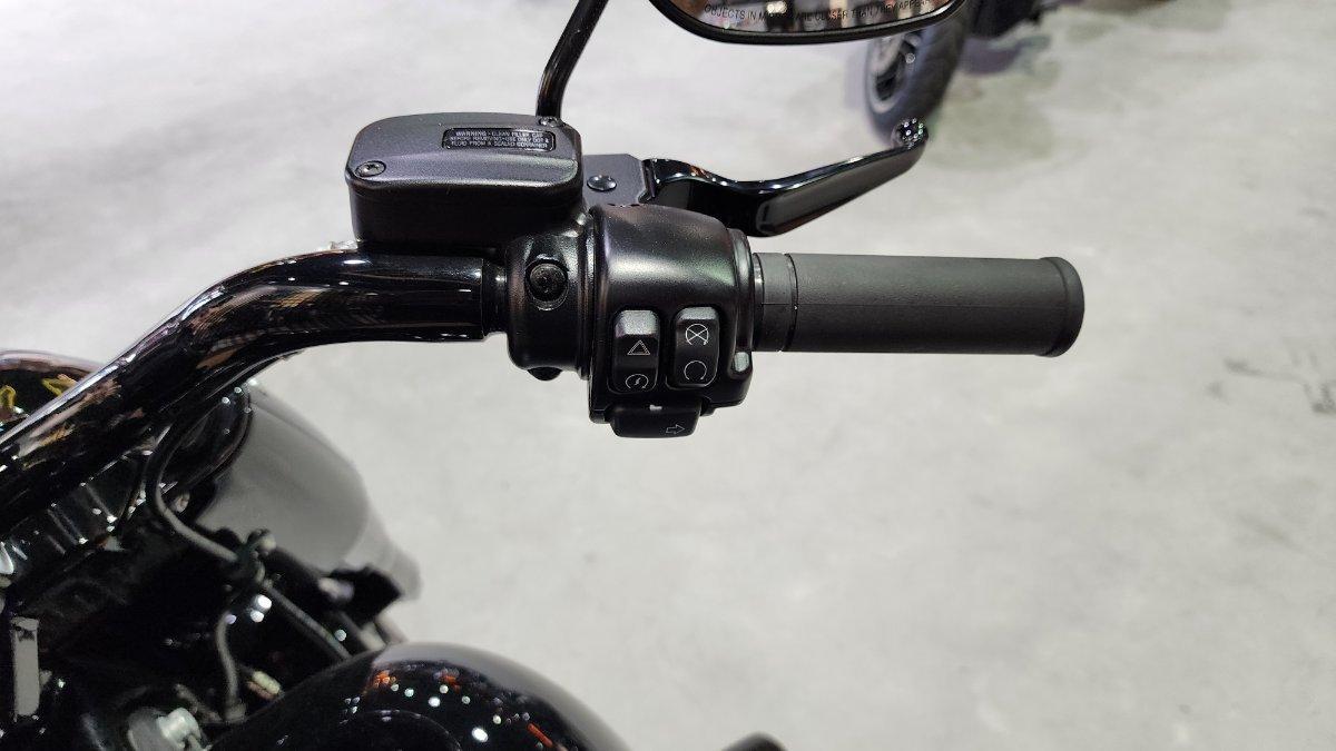 2020 HARLEY-DAVIDSON FLFBSANV FAT BOY 114 30TH ANNI CRUISER