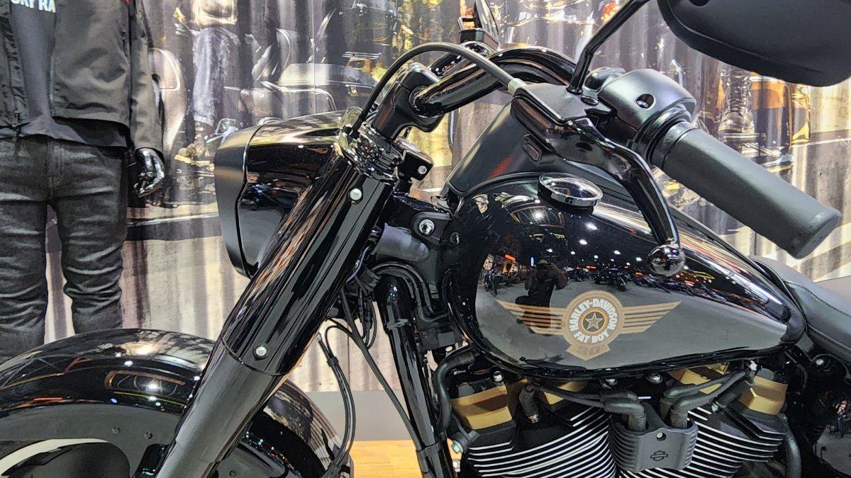 2020 HARLEY-DAVIDSON FLFBSANV FAT BOY 114 30TH ANNI CRUISER