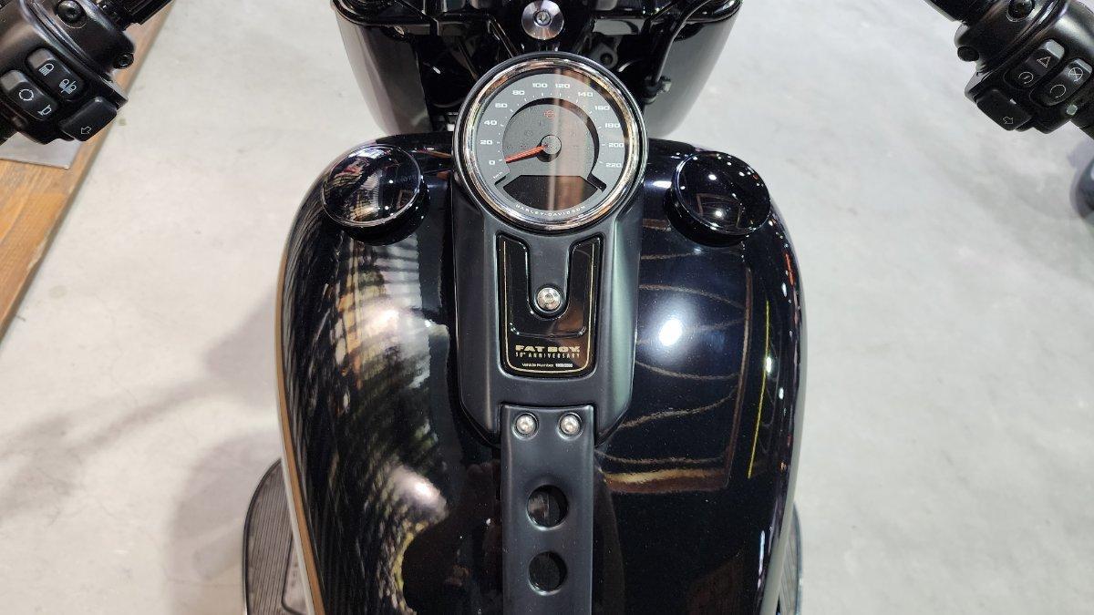 2020 HARLEY-DAVIDSON FLFBSANV FAT BOY 114 30TH ANNI CRUISER