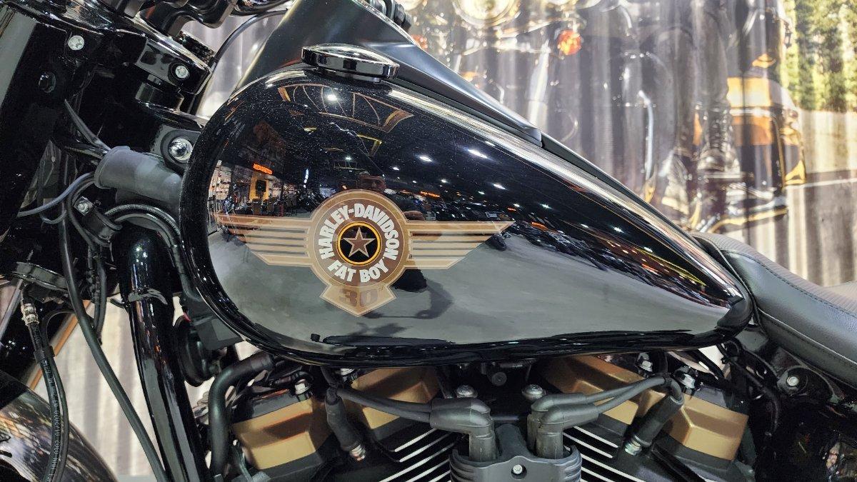 2020 HARLEY-DAVIDSON FLFBSANV FAT BOY 114 30TH ANNI CRUISER