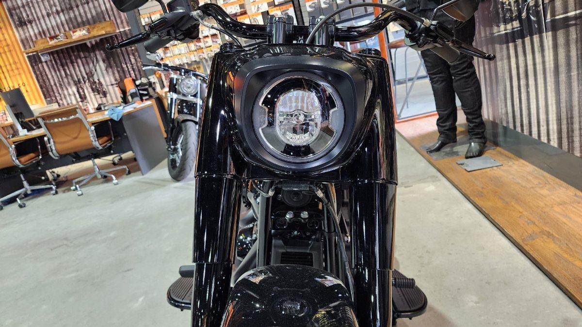 2020 HARLEY-DAVIDSON FLFBSANV FAT BOY 114 30TH ANNI CRUISER