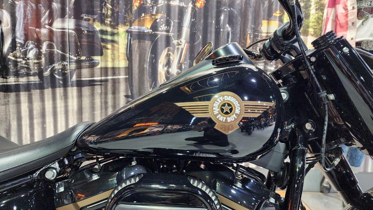 2020 HARLEY-DAVIDSON FLFBSANV FAT BOY 114 30TH ANNI CRUISER