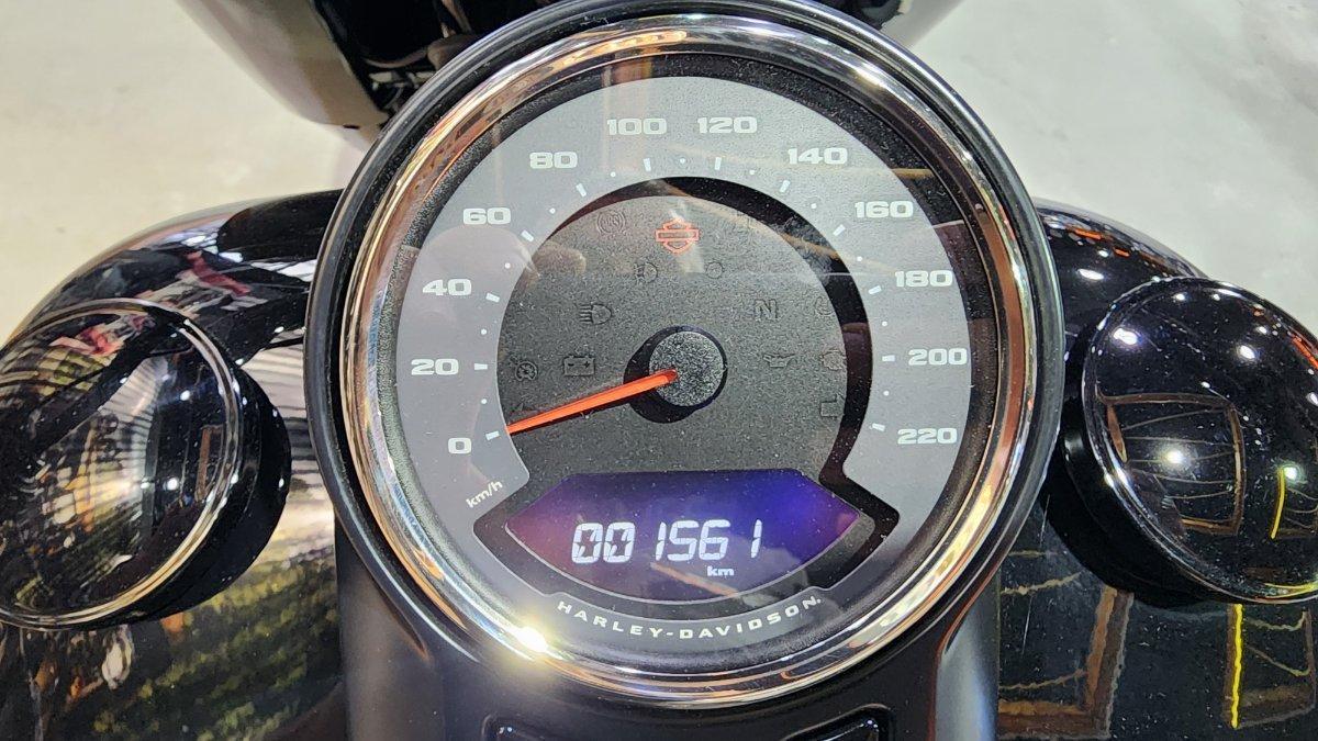 2020 HARLEY-DAVIDSON FLFBSANV FAT BOY 114 30TH ANNI CRUISER