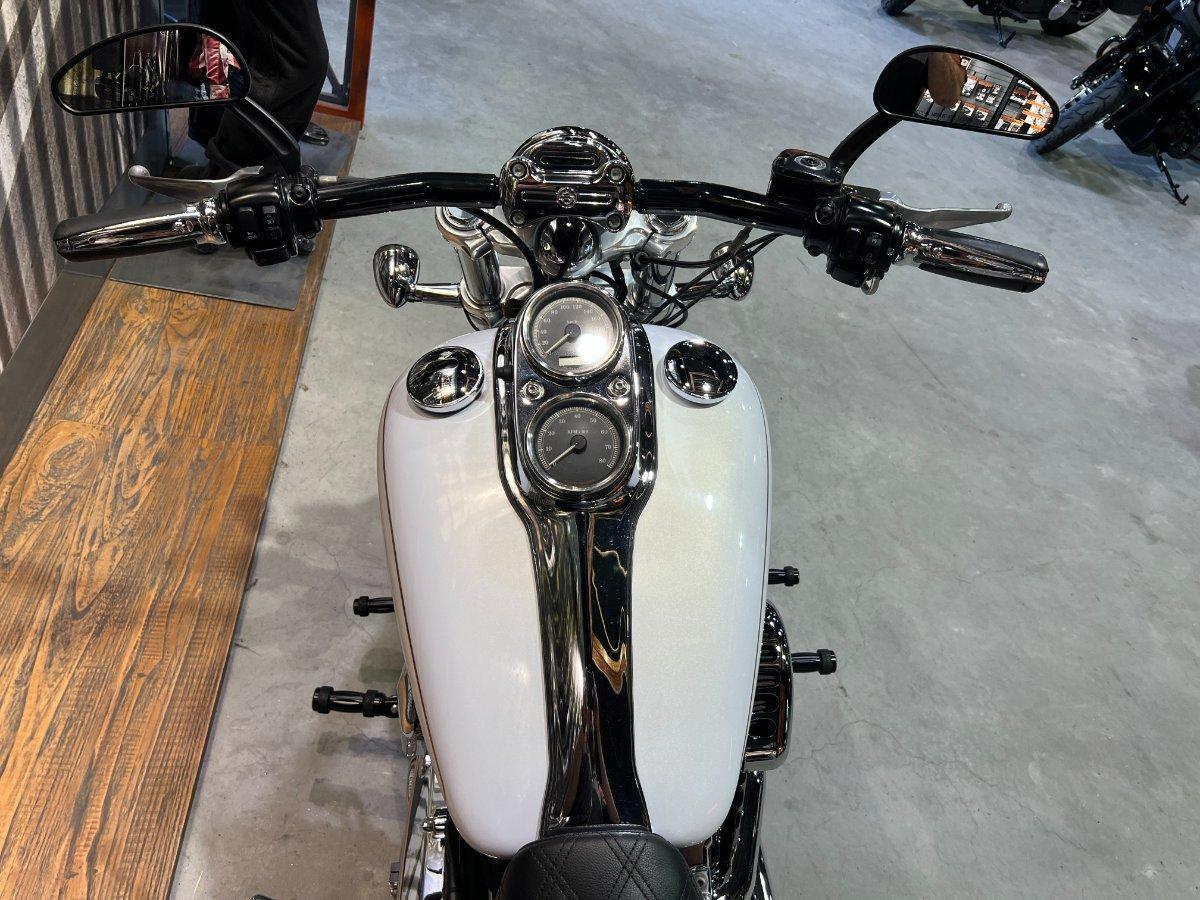 2008 HARLEY-DAVIDSON FXDL DYNA LOW RIDER CRUISER